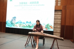 koncert-Guzheng-Zhao-Zhirong